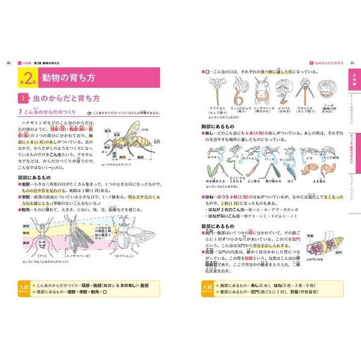 完全理解小学理科　知識を深め考える力を育む