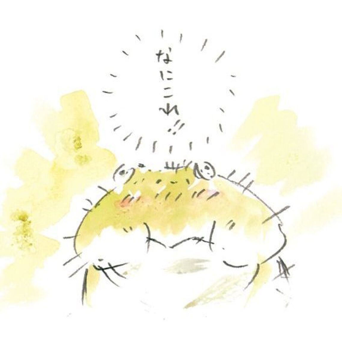 タピオカガエルのタピオカ屋