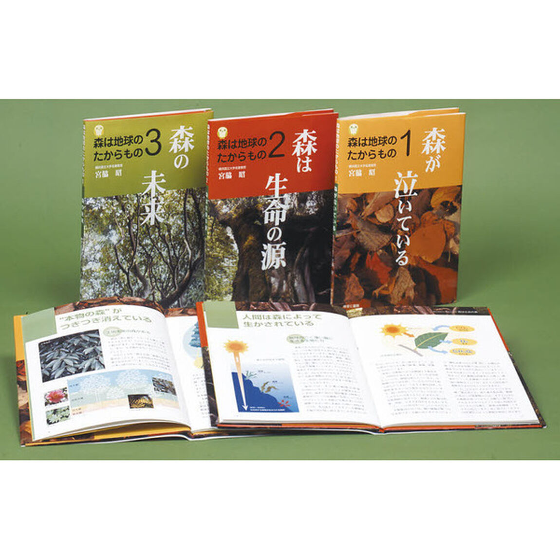 森は地球のたからもの　全３巻
