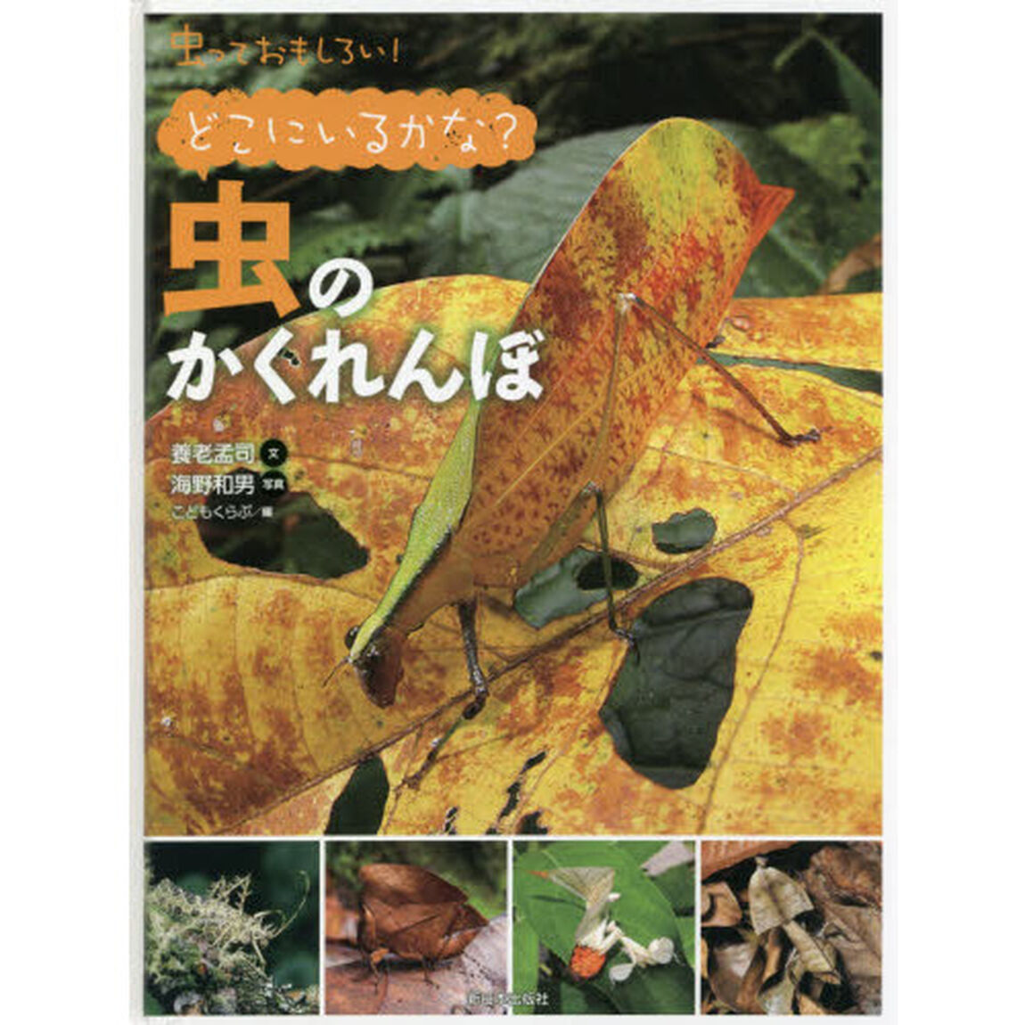 虫っておもしろい！　〔５〕「どこにいるかな？虫のかくれんぼ」