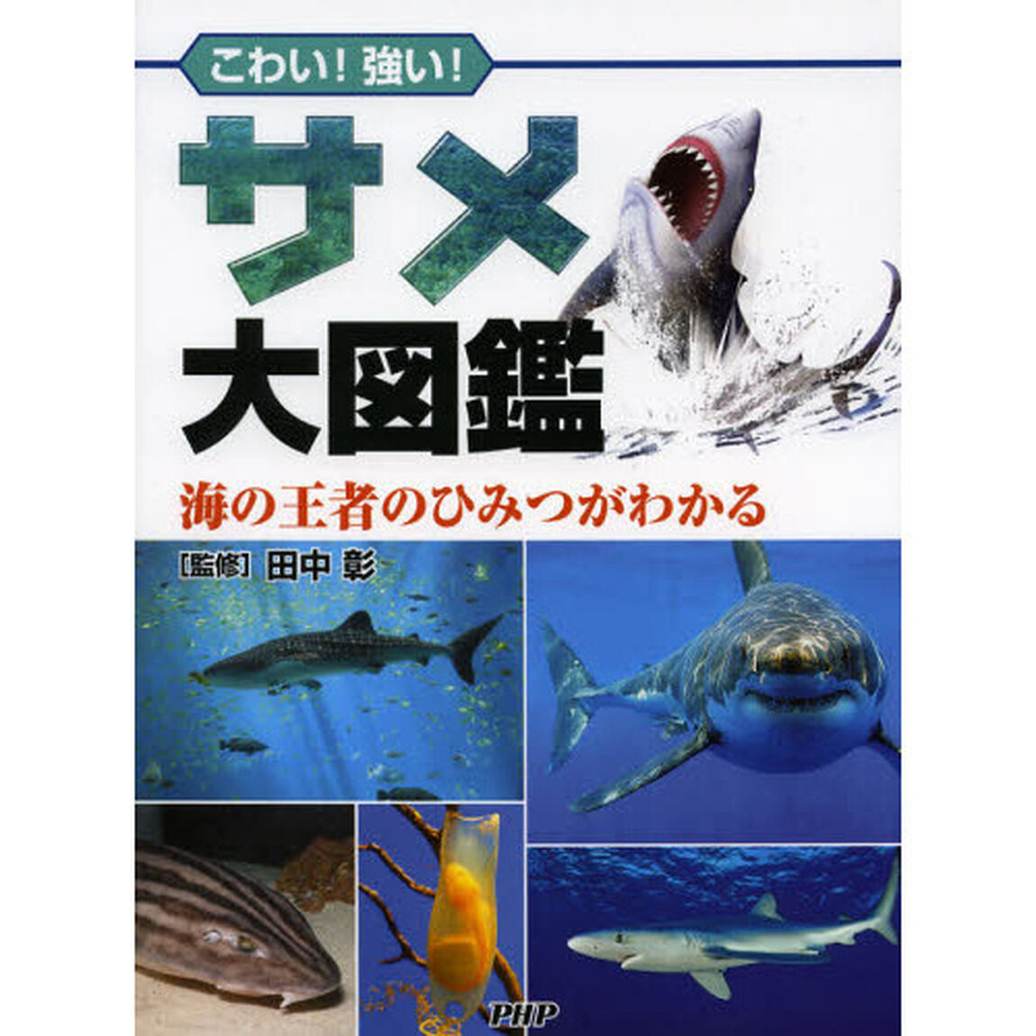 サメ大図鑑　こわい！強い！　海の王者のひみつがわかる