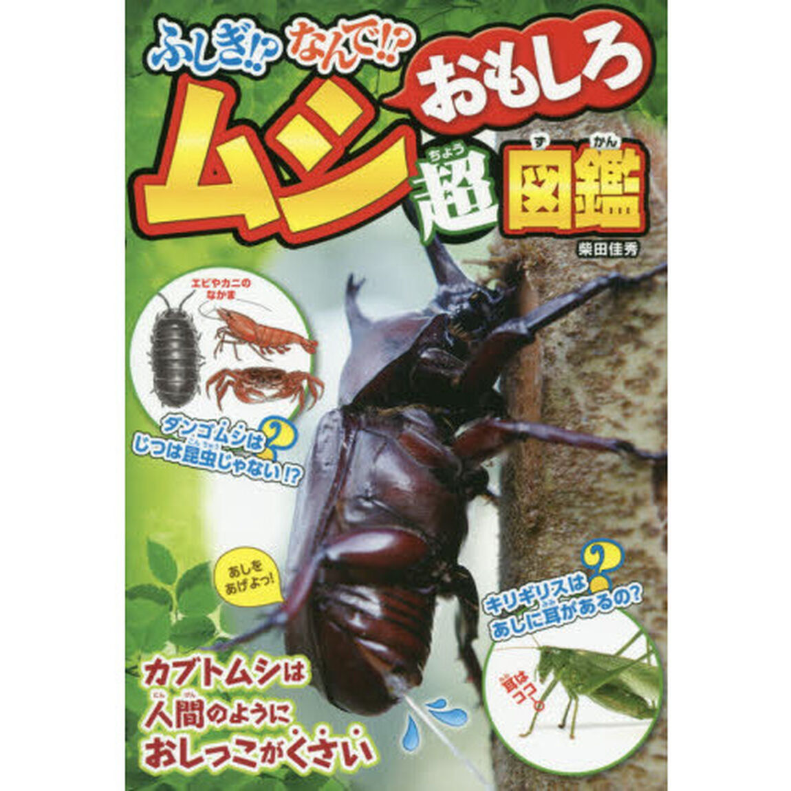 ふしぎ！？なんで！？ムシおもしろ超図鑑