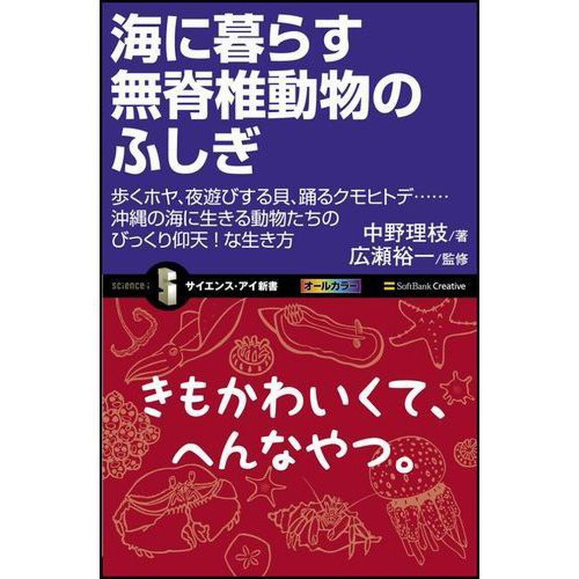 海に暮らす無脊椎動物のふしぎ　歩くホヤ、夜遊びする貝、踊るクモヒトデ&hellip;沖縄の海に生きる動物たちのびっくり仰天！な生き方