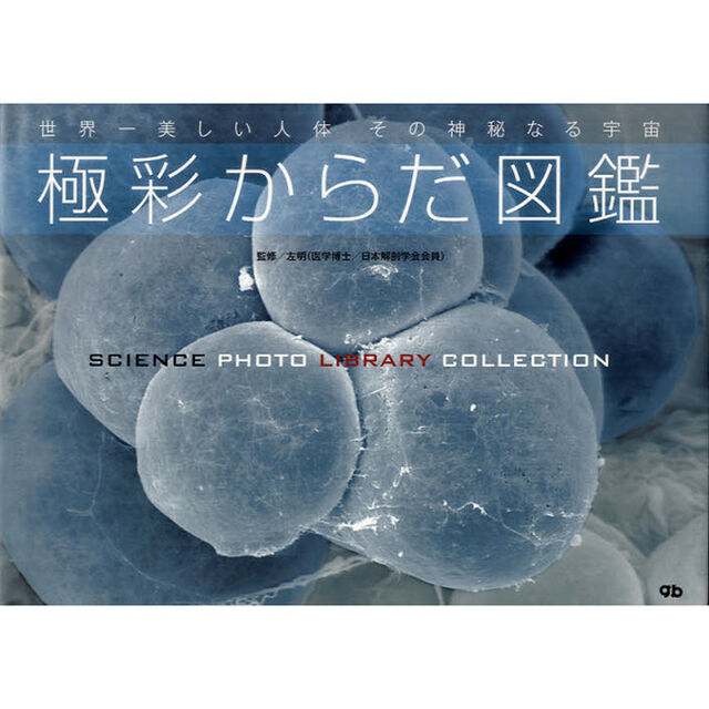 極彩からだ図鑑　ＳＣＩＥＮＣＥ　ＰＨＯＴＯ　ＬＩＢＲＡＲＹ　ＣＯＬＬＥＣＴＩＯＮ　世界一美しい人体その神秘なる宇宙