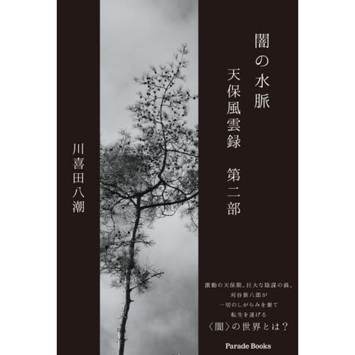 闇の水脈　天保風雲録　第２部