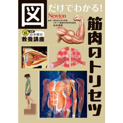 図だけでわかる！筋肉のトリセツ - 通販｜セブンネットショッピング