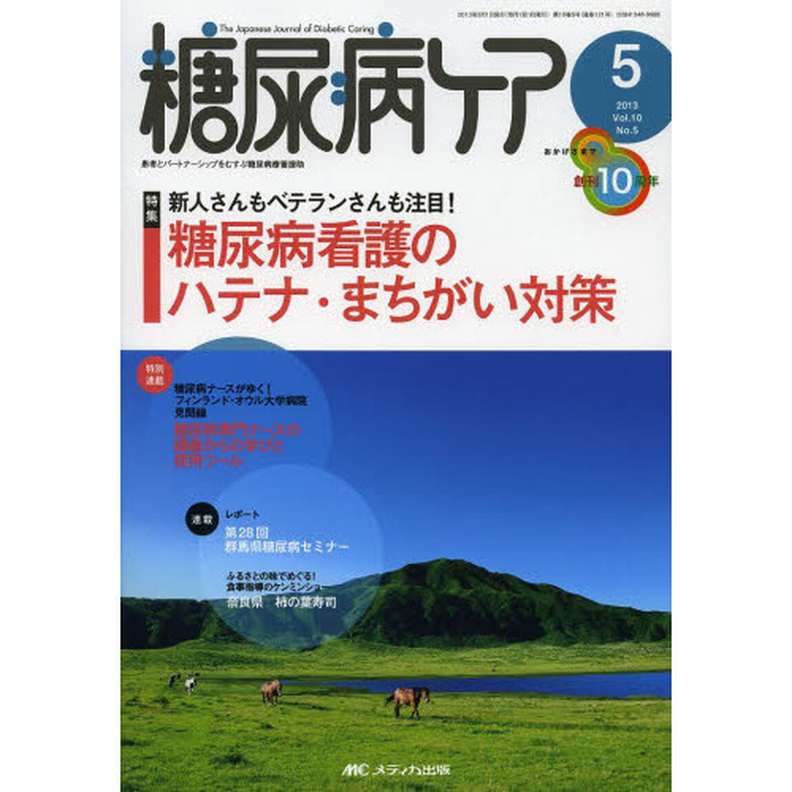 糖尿病ケア　患者とパートナーシップをむすぶ糖尿病療養援助　第１０巻５号（２０１３－５）「新人さんもベテランさんも注目！糖尿病看護のハテナ・まちがい対策」