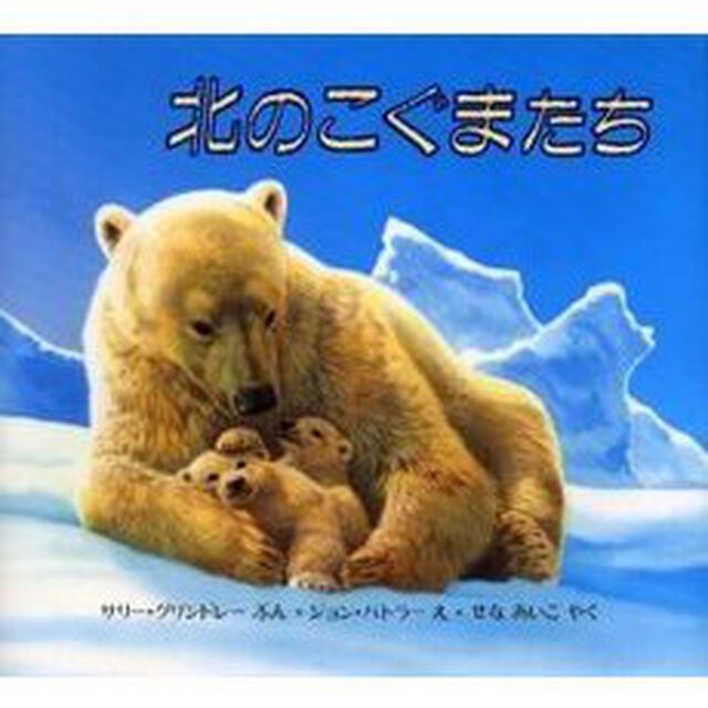 北のこぐまたち