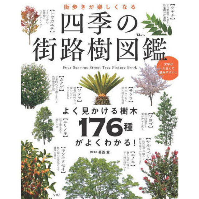 街歩きが楽しくなる四季の街路樹図鑑