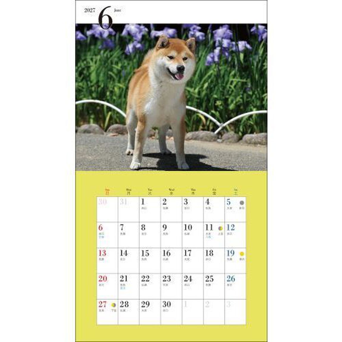 &rsquo;２７　カレンダーかわいい柴犬