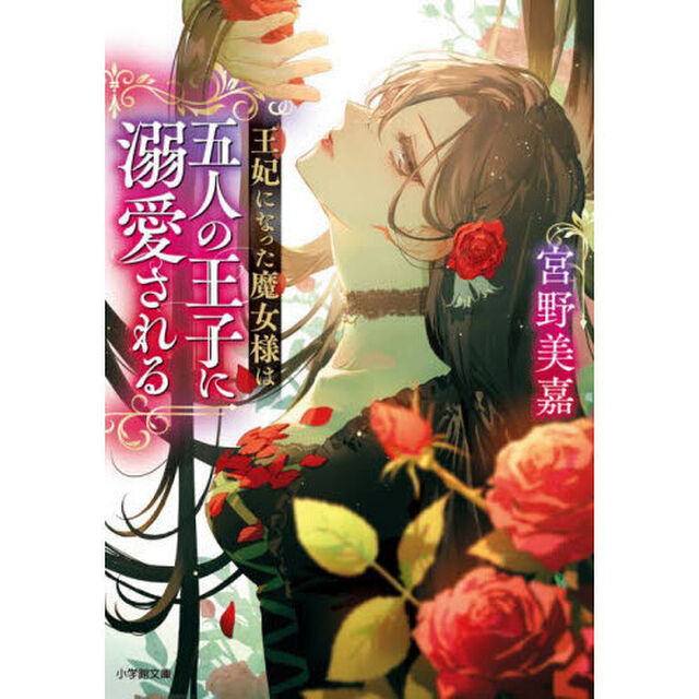王妃になった魔女様は五人の王子に溺愛される