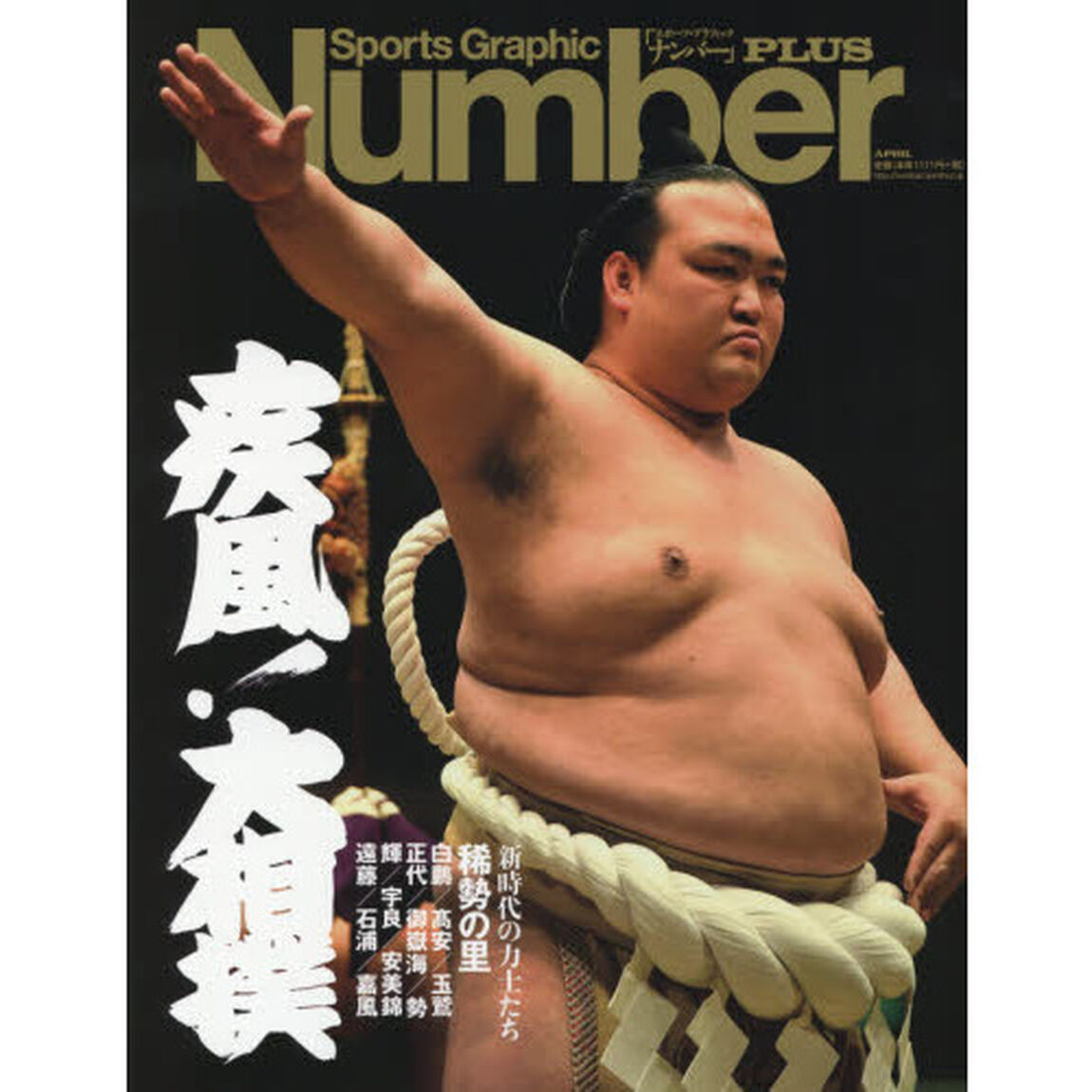 疾風！大相撲　新時代の力士たち