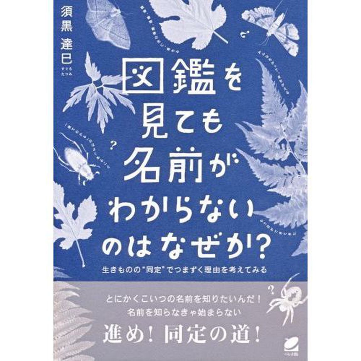 図鑑を見ても名前がわからないのはなぜか？　生きものの&ldquo;同定&rdquo;でつまずく理由を考えてみる