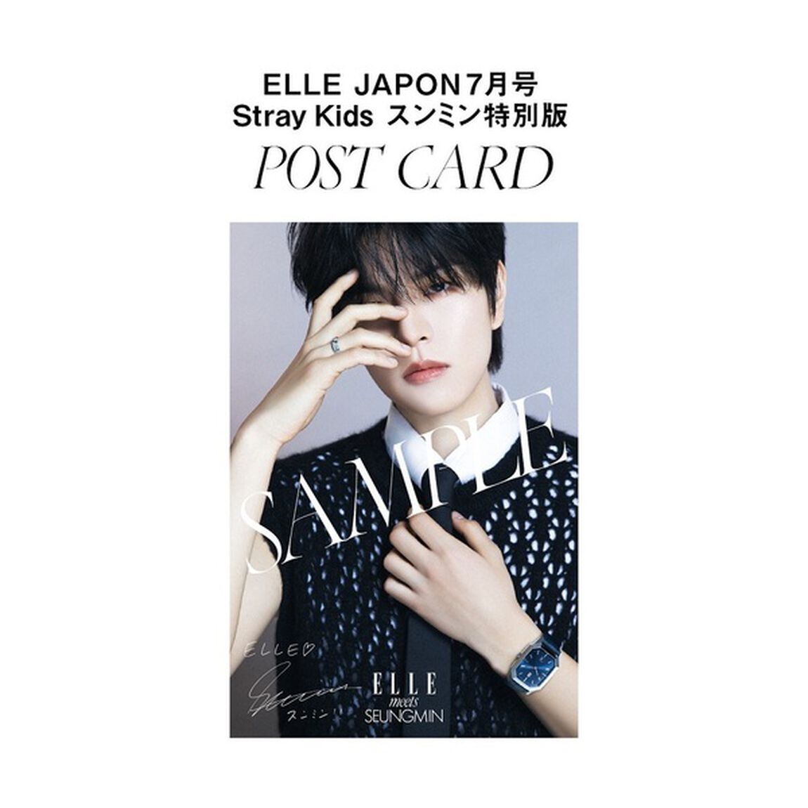 ＥＬＬＥ　ＪＡＰＯＮ（エル・ジャポン）　2024年7月号増刊　Stray Kids スンミン特別版【共通特典：Stray Kids スンミン オリジナルポストカード（複製サイン入り）1枚付き】