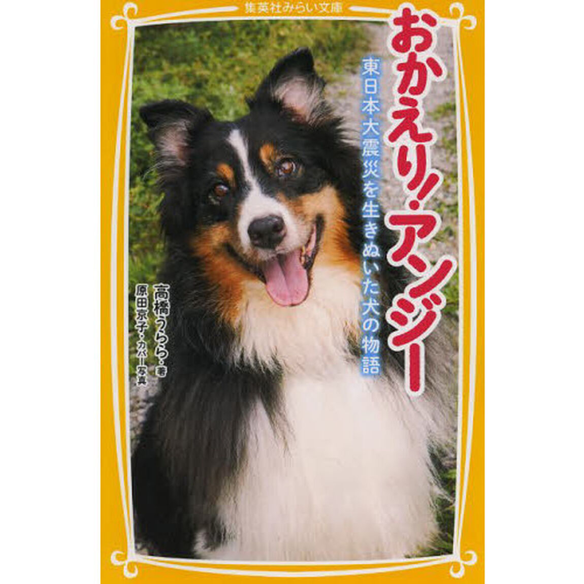 おかえり！アンジー　東日本大震災を生きぬいた犬の物語