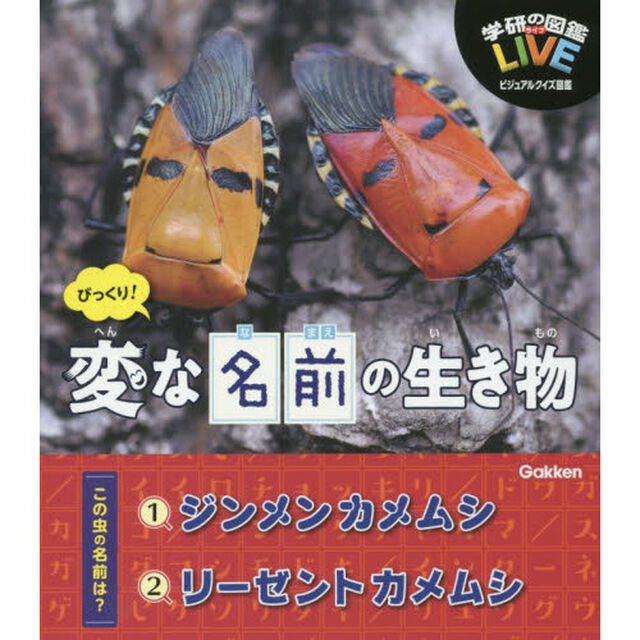 びっくり！変な名前の生き物