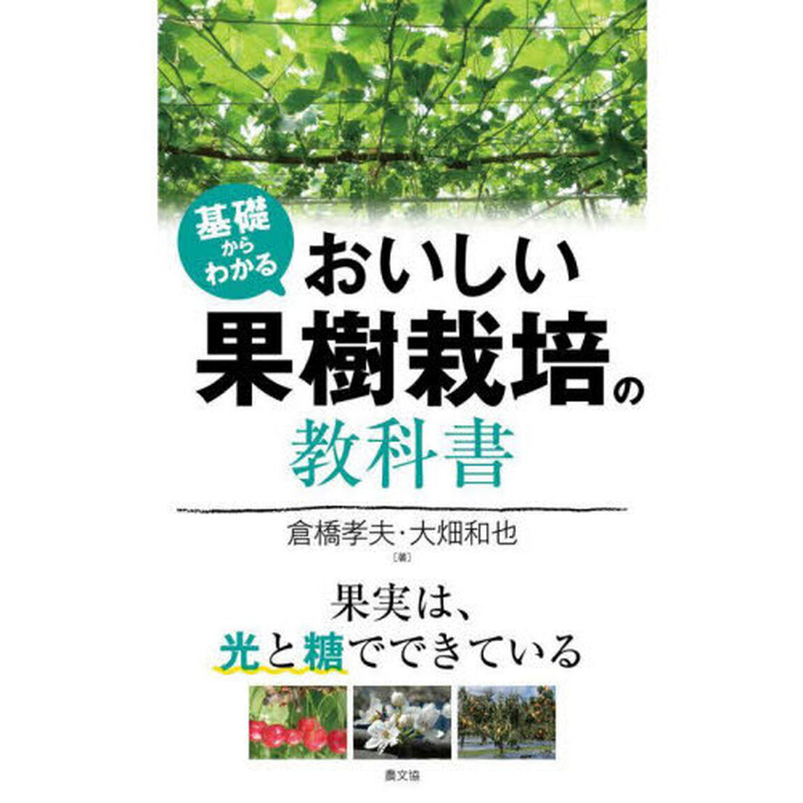 基礎からわかるおいしい果樹栽培の教科書　果実は、光と糖でできている