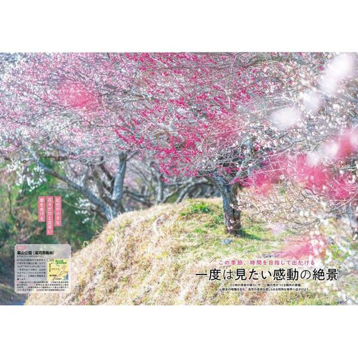 東京から行く！日帰り絶景さんぽ　２０２５