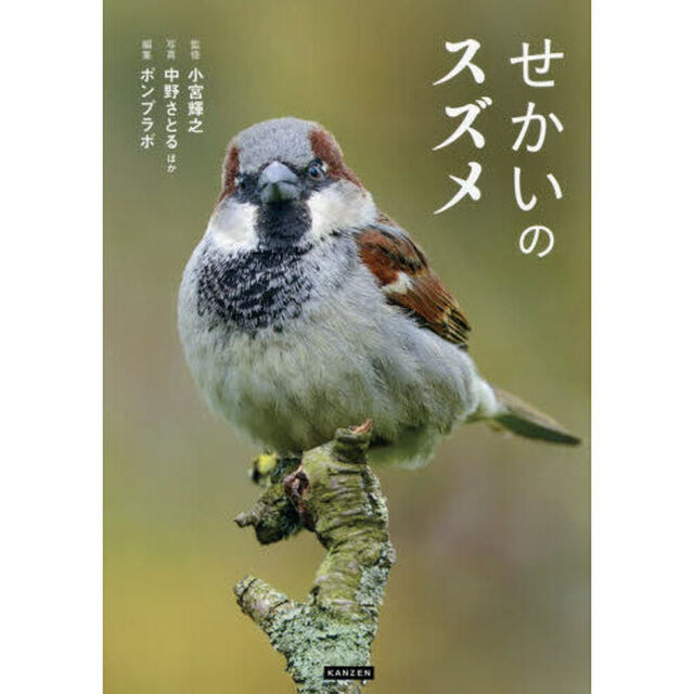 せかいのスズメ