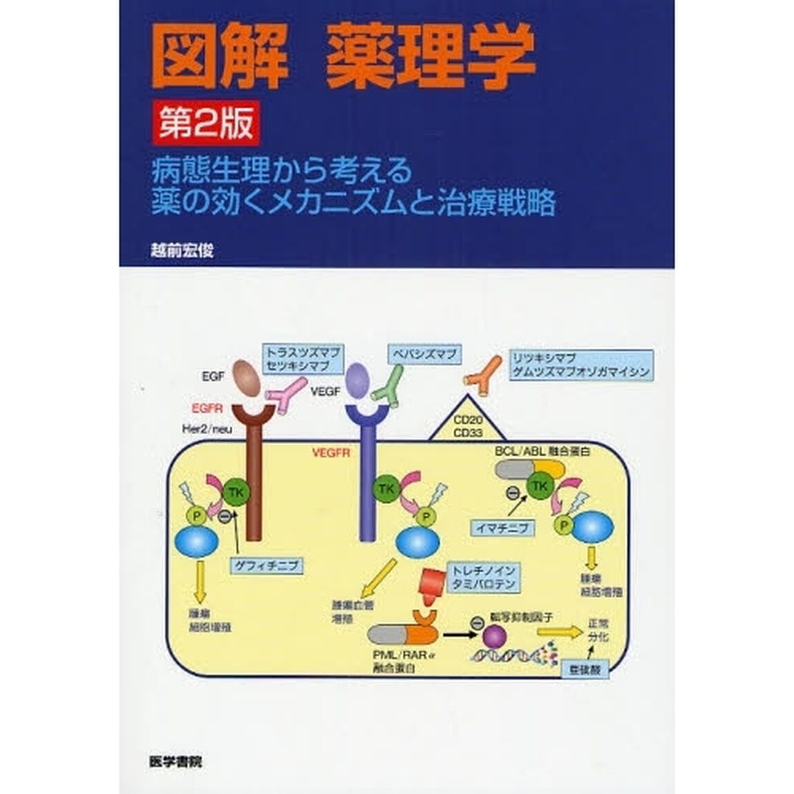 図解薬理学　病態生理から考える薬の効くメカニズムと治療戦略「第２版」