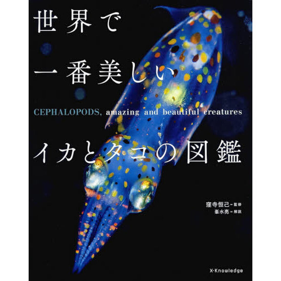 世界で一番美しいイカとタコの図鑑
