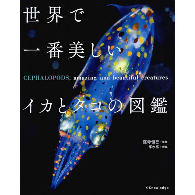 世界で一番美しいイカとタコの図鑑