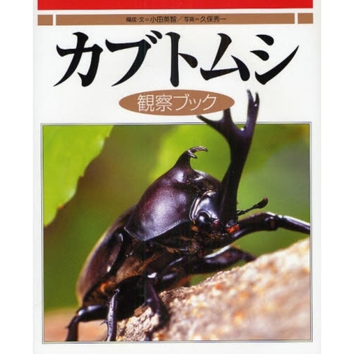 カブトムシ観察ブック
