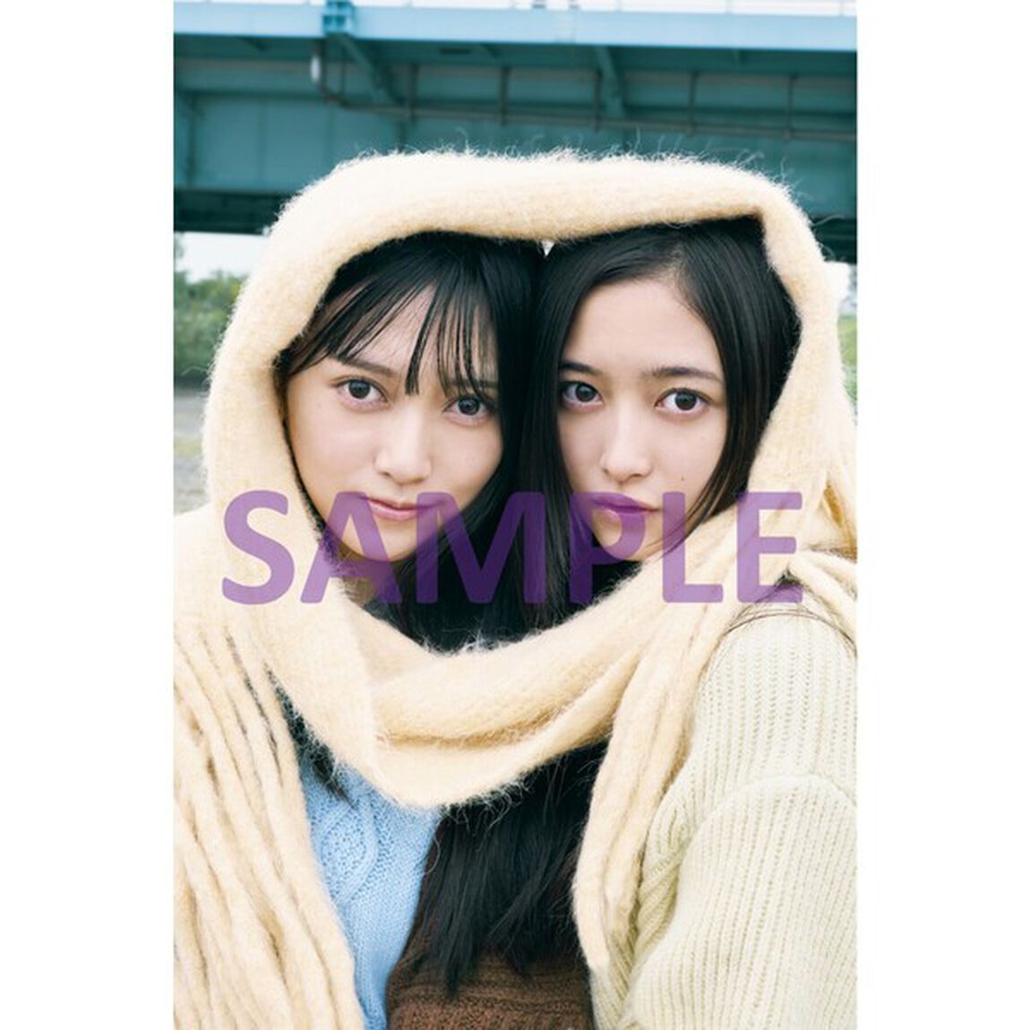 週刊プレイボーイ52-53号【セブン‐イレブン＆セブンネット限定特典：池田瑛紗・井上和（乃木坂46）2024・冬 スペシャルポストカード 2枚付き】