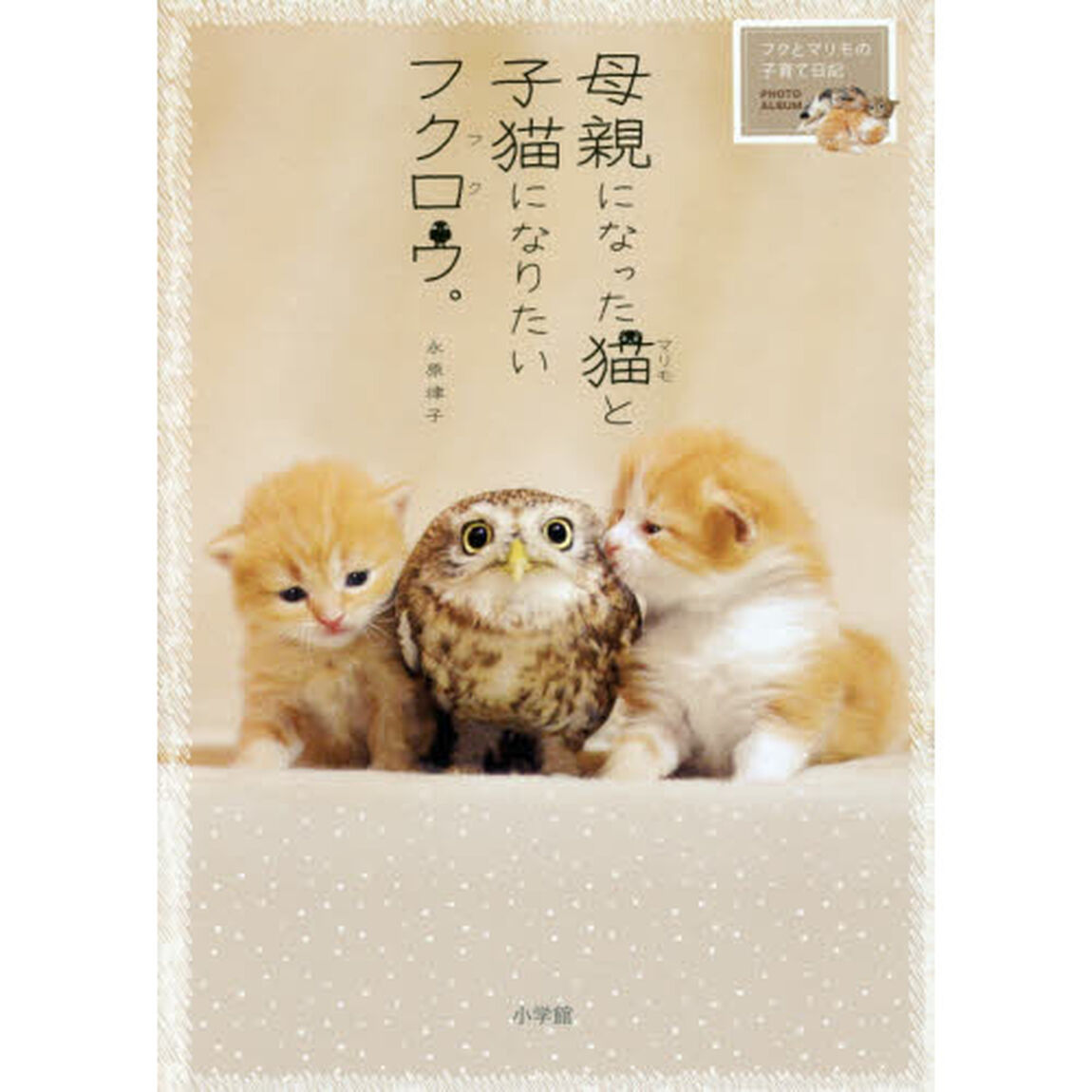 母親になった猫（マリモ）と子猫になりたいフクロウ（フク）。　フクとマリモの子育て日記