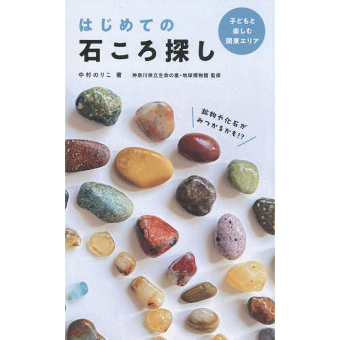 はじめての石ころ探し　子どもと楽しむ関東エリア