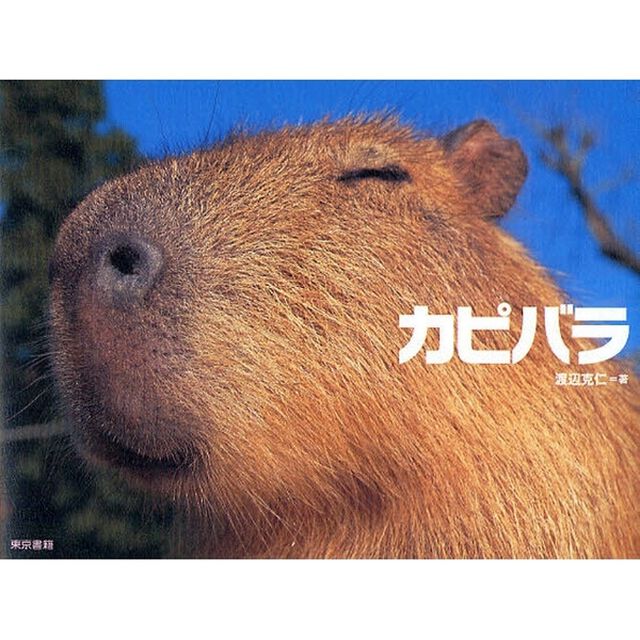 カピバラ