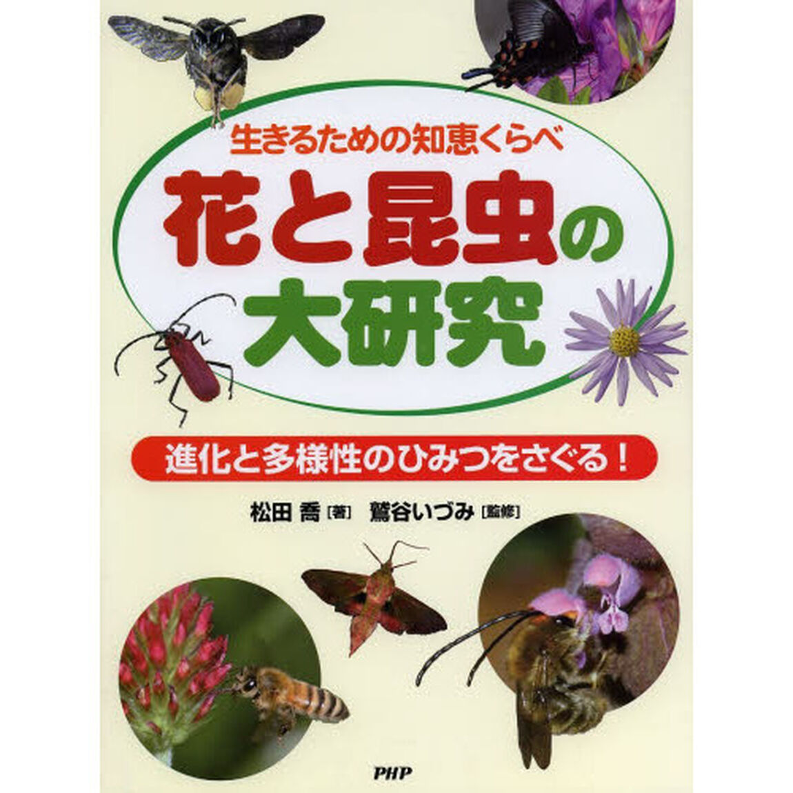 花と昆虫の大研究　生きるための知恵くらべ　進化と多様性のひみつをさぐる！