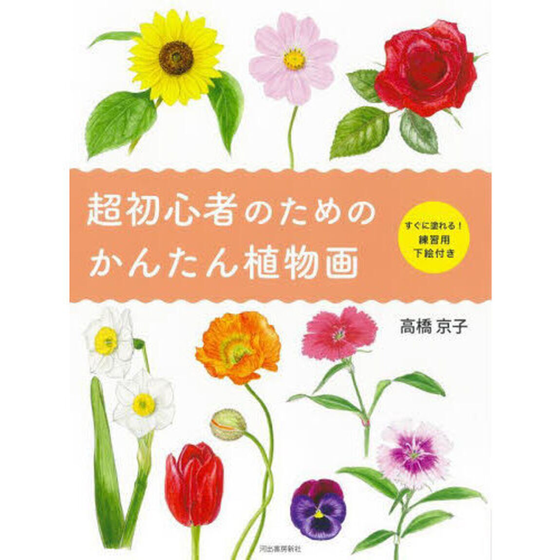 超初心者のためのかんたん植物画　新装版