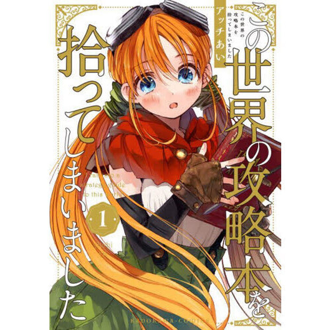 この世界の攻略本を拾ってしまいました　１