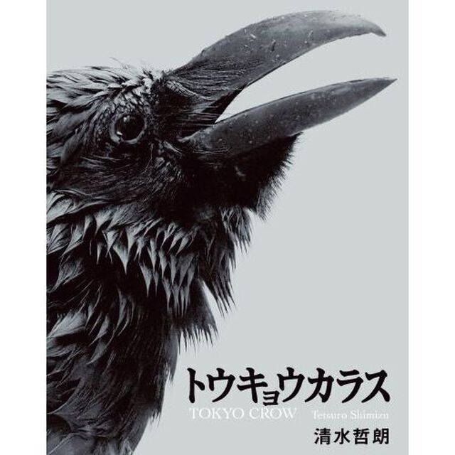トウキョウカラス