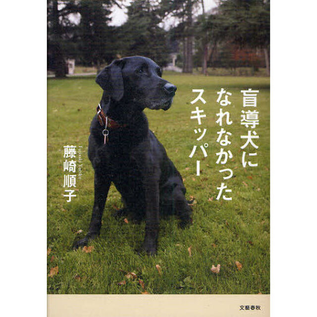 盲導犬になれなかったスキッパー