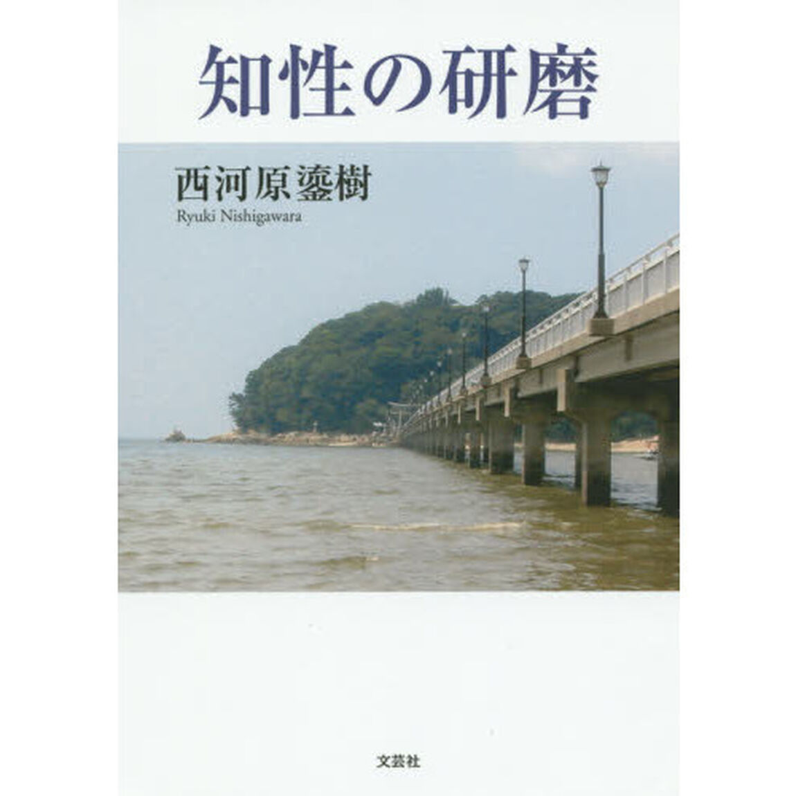 知性の研磨