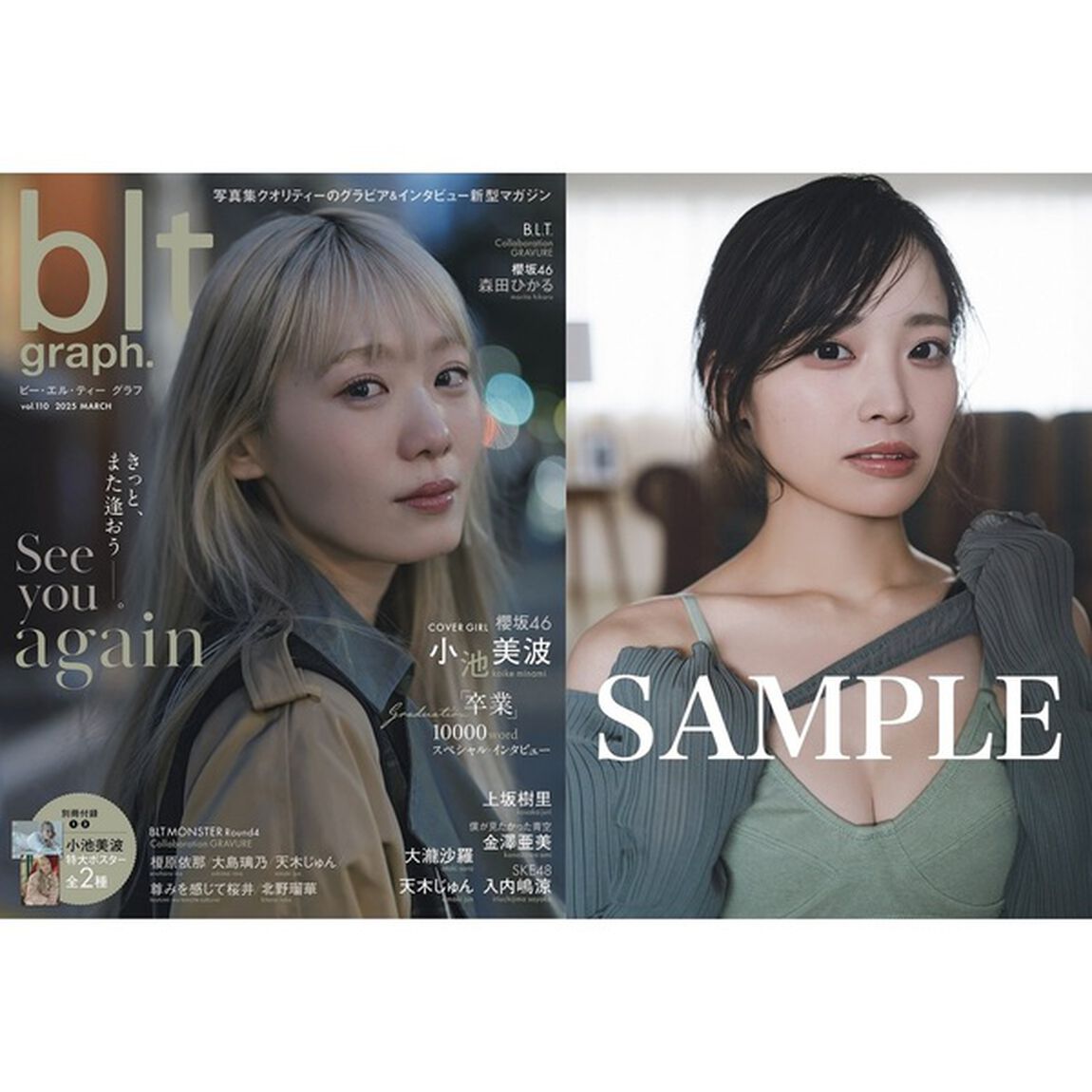 blt graph.vol.110【セブンネット限定特典：入内嶋涼（SKE48）ポストカード 1枚付き】