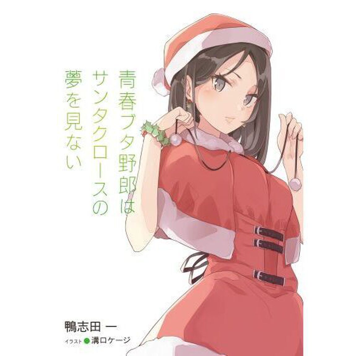 青春ブタ野郎はサンタクロースの夢を見ない