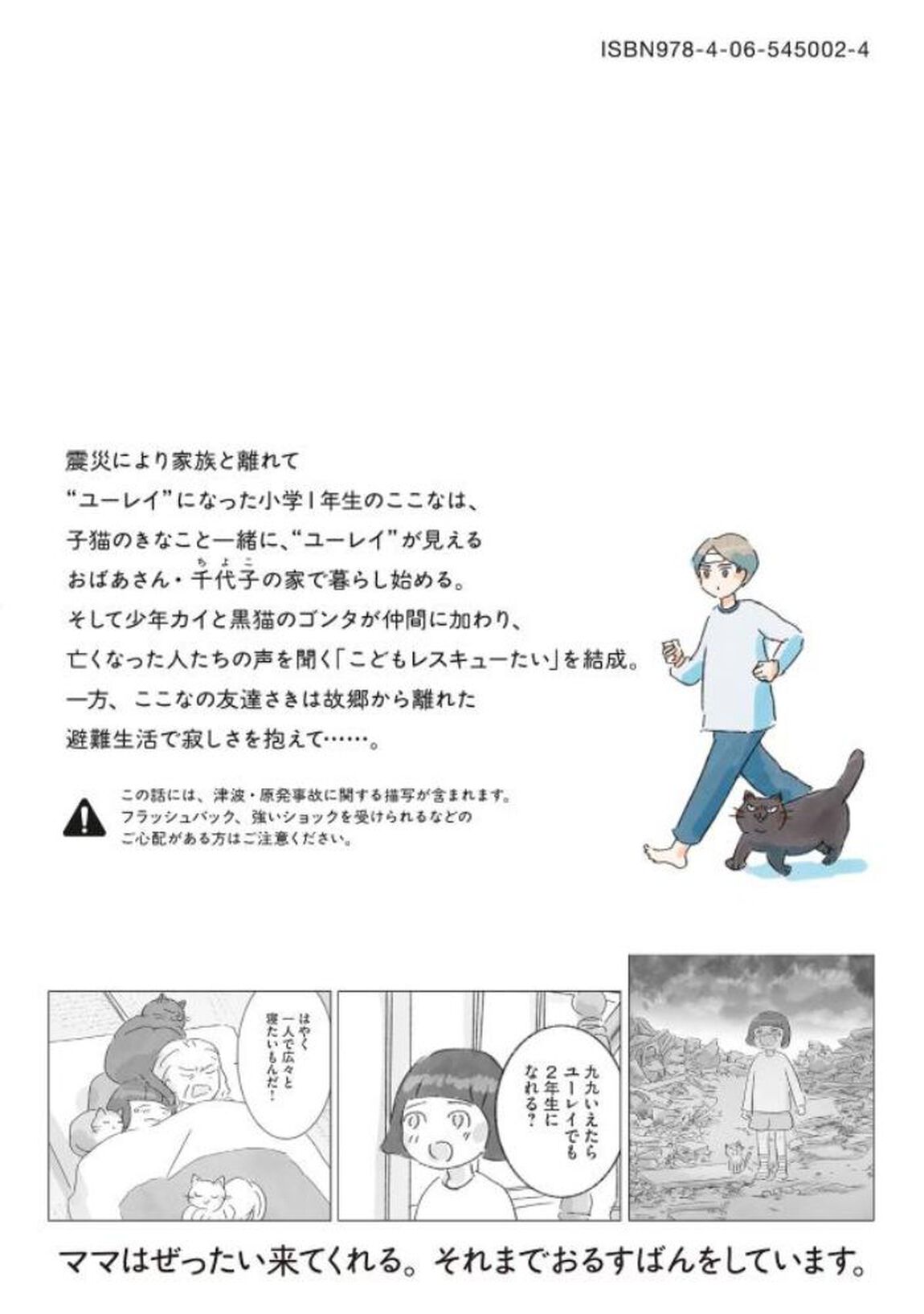 るすばん猫きなこ　２