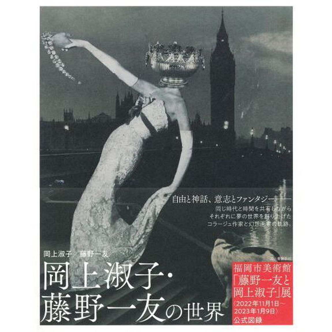 岡上淑子・藤野一友の世界