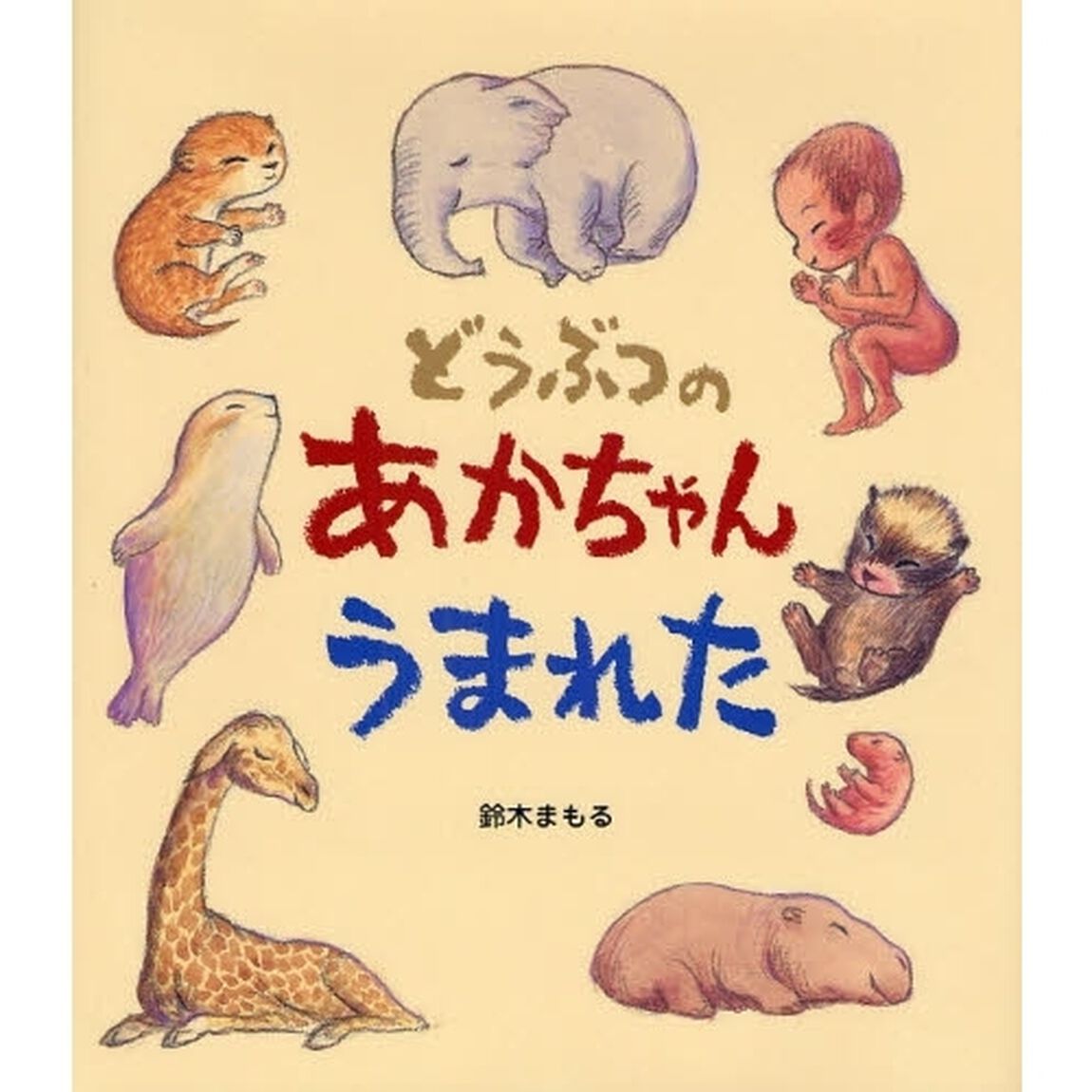 どうぶつのあかちゃんうまれた