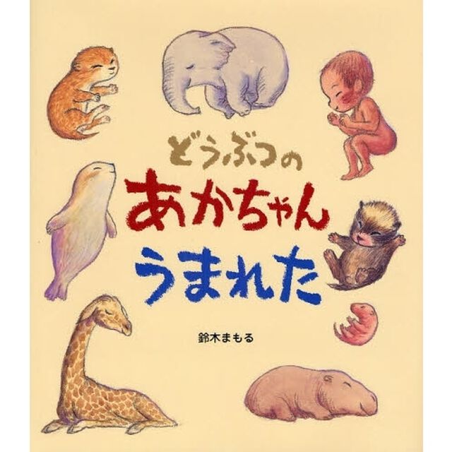 どうぶつのあかちゃんうまれた