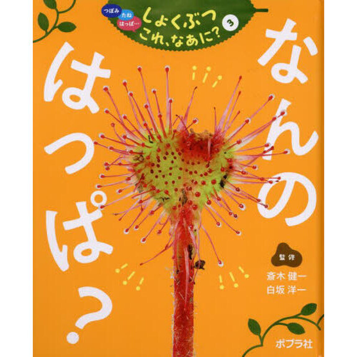 つぼみ　たね　はっぱ&hellip;しょくぶつこれ、なあに？　３「なんのはっぱ？」