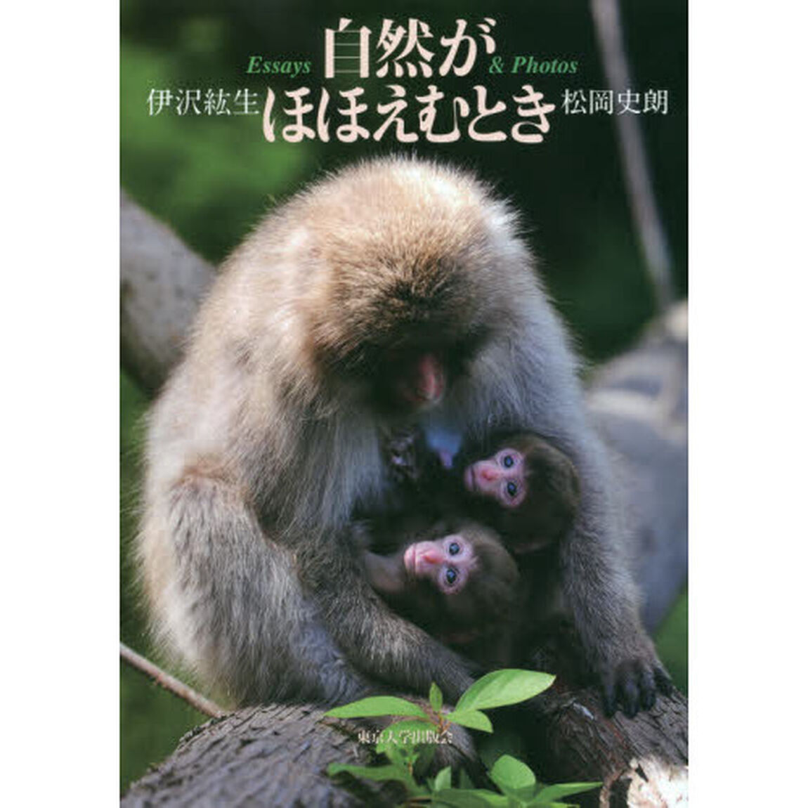 自然がほほえむとき　Ｅｓｓａｙｓ　＆　Ｐｈｏｔｏｓ