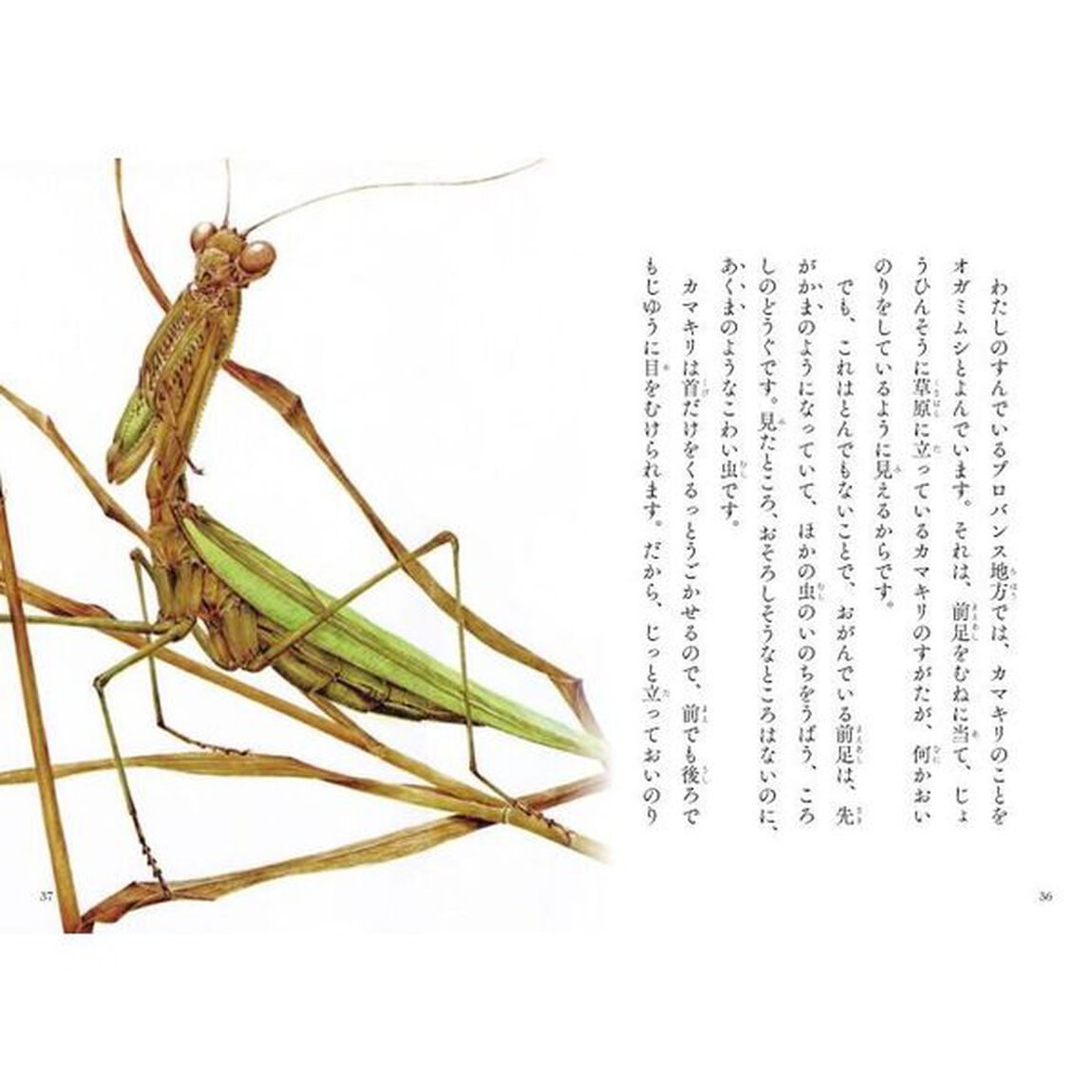 ファーブル昆虫記