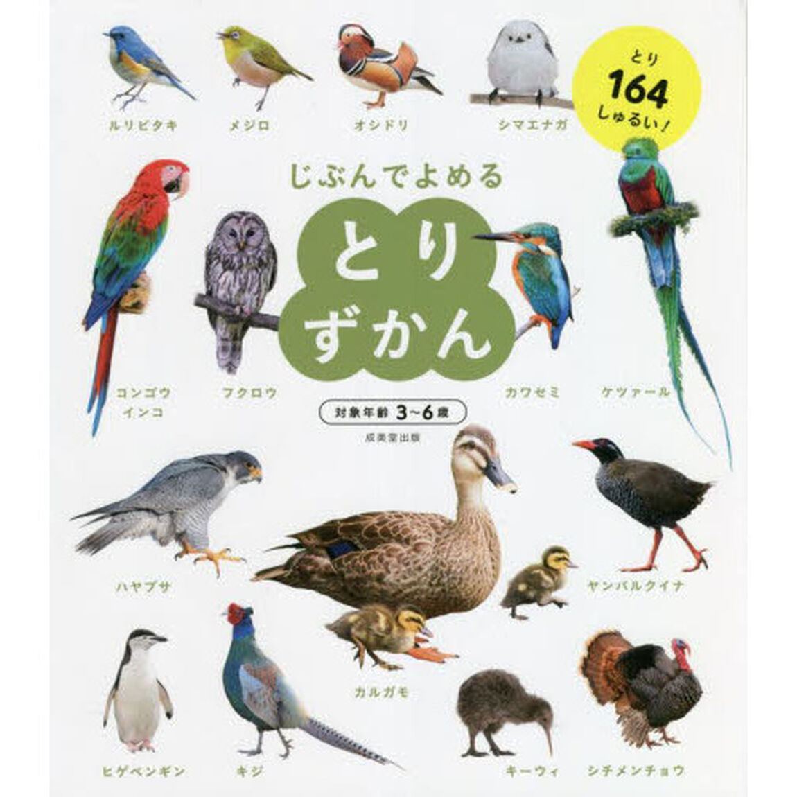 じぶんでよめるとりずかん　対象年齢３〜６歳　とり１６４しゅるい！