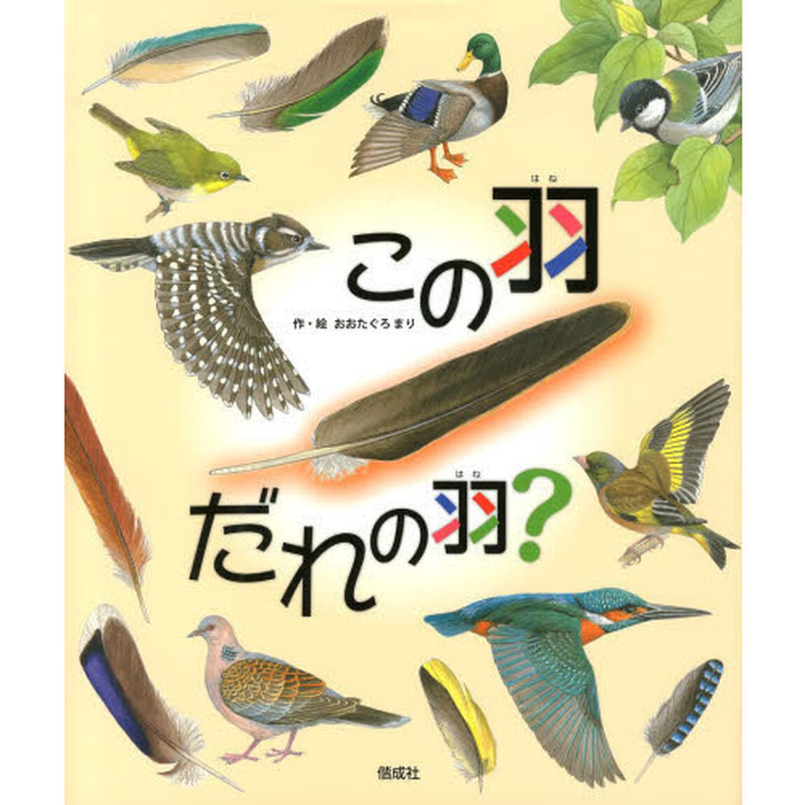 この羽だれの羽？
