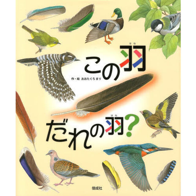 この羽だれの羽？