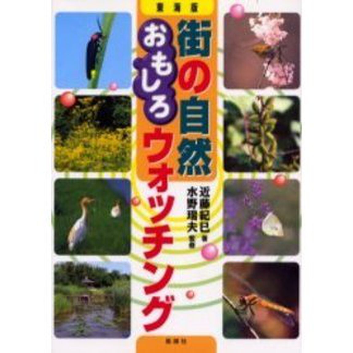 街の自然おもしろウォッチング　東海版